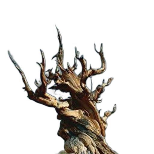 tree, crown, staff, creature transparent PNG cut-out