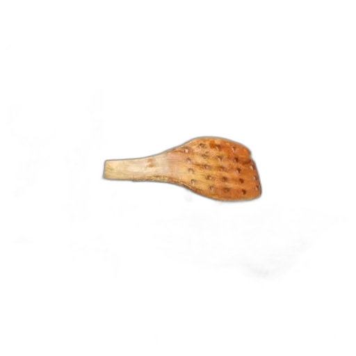 food, weapon, staff, hat transparent PNG cut-out