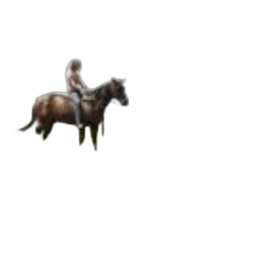 animal, staff, creature, hat transparent PNG cut-out