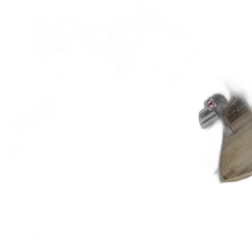 shoes, hat, animal, creature transparent PNG cut-out