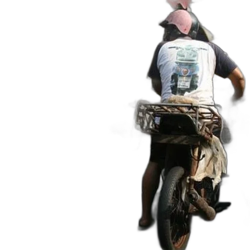 jacket, animal, creature, weapon transparent PNG cut-out