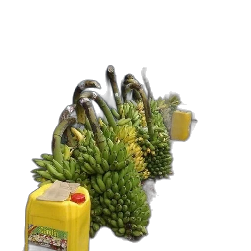food, weapon, crown, bottle transparent PNG cut-out