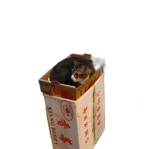 animal, furniture, food, staff transparent PNG cut-out