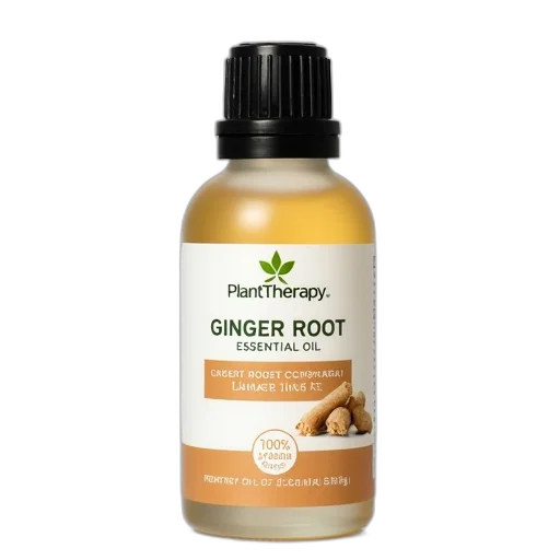 bottle, plant, therapy, ginger transparent PNG cut-out