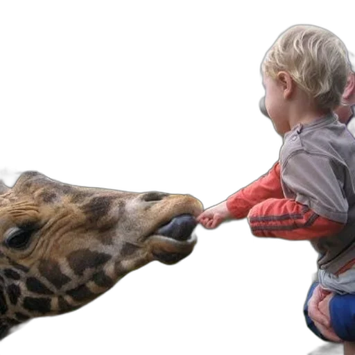 animal, creature, photorealistic, child transparent PNG cut-out
