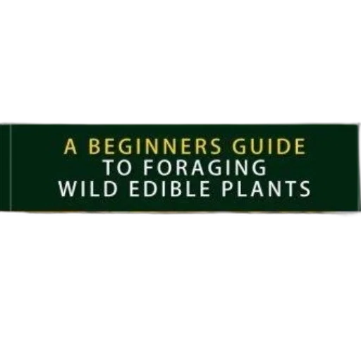 beginners, guide, foraging, wild transparent PNG cut-out