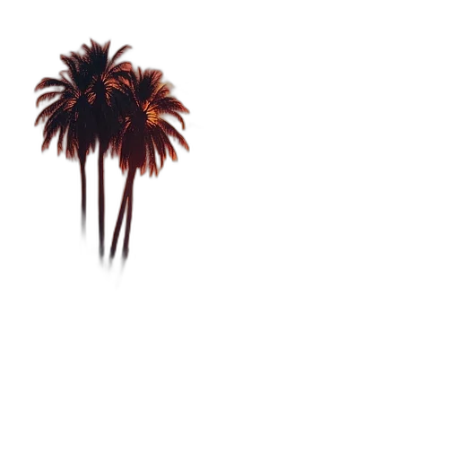 hair, umbrella, tree, flower transparent PNG cut-out