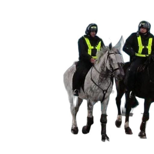 staff, concept art, group, police transparent PNG cut-out