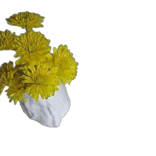 flower, crown, food, mask transparent PNG cut-out