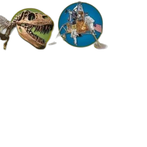 jewelry, dragon, crown, hat transparent PNG cut-out