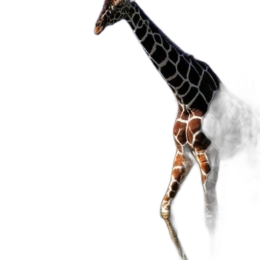 animal, creature, staff, weapon transparent PNG cut-out