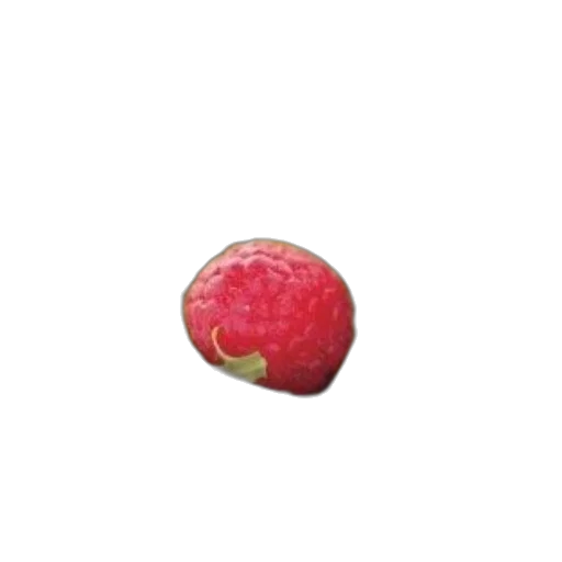 food, crown, staff, jewelry transparent PNG cut-out