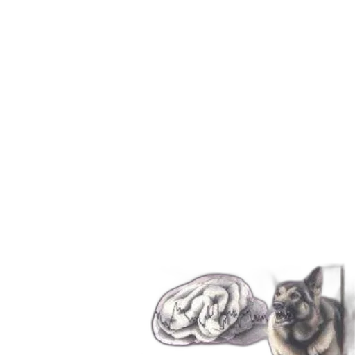 shoes, animal, jewelry, hair transparent PNG cut-out