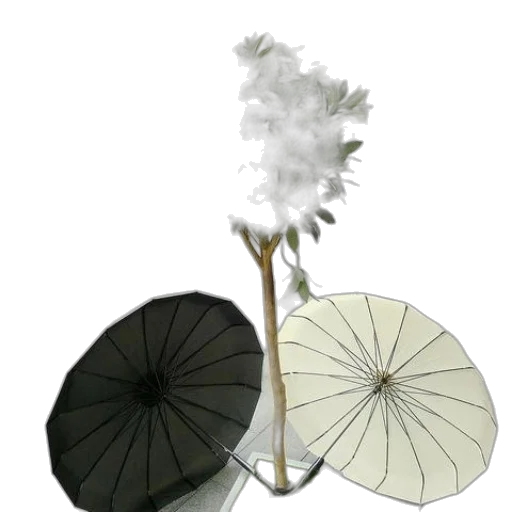 umbrella, flower, staff, crown transparent PNG cut-out
