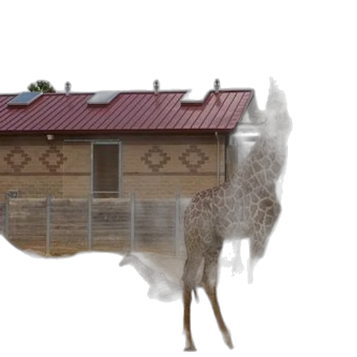 animal, building, creature, hair transparent PNG cut-out