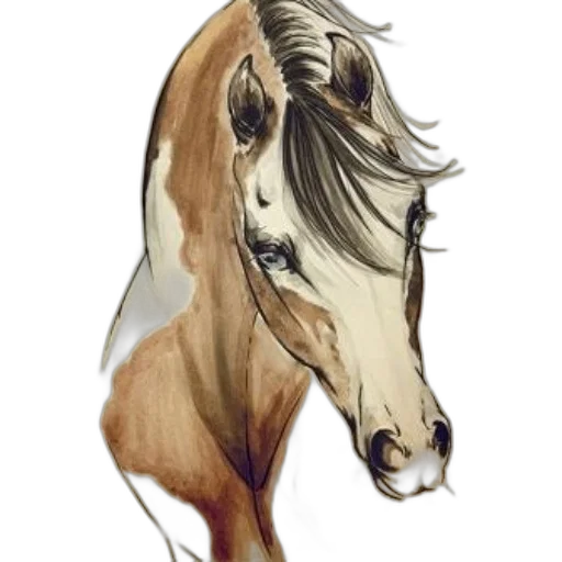 animal, staff, jewelry, face transparent PNG cut-out
