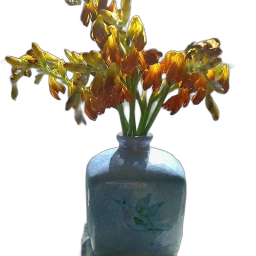 flower, bottle, crown, staff transparent PNG cut-out