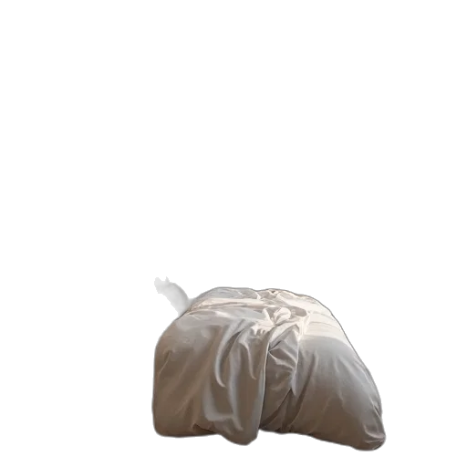 furniture, hat, crown, jacket transparent PNG cut-out