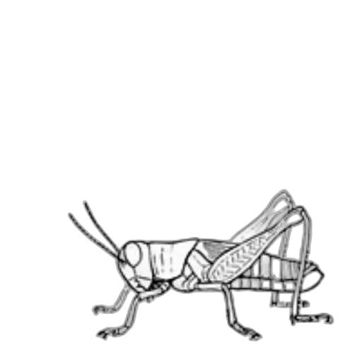 creature, animal, robot, furniture transparent PNG cut-out