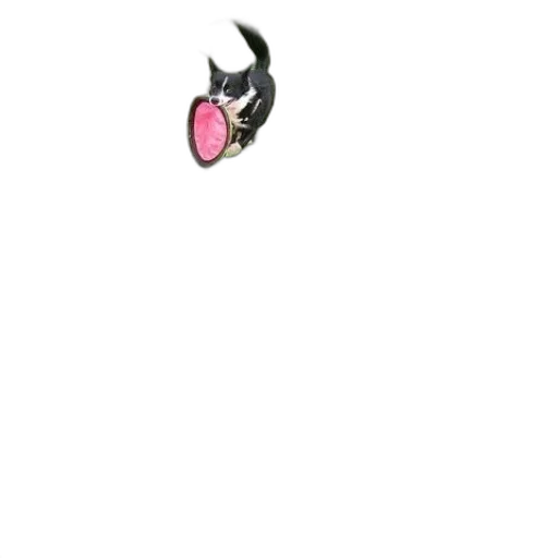 mask, hat, jewelry, creature transparent PNG cut-out