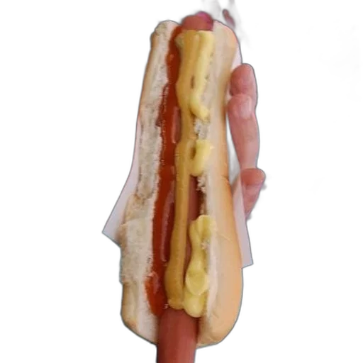 food, weapon, animal, dress transparent PNG cut-out