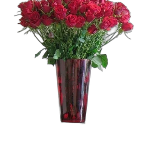 flower, crown, 3d render, photorealistic transparent PNG cut-out