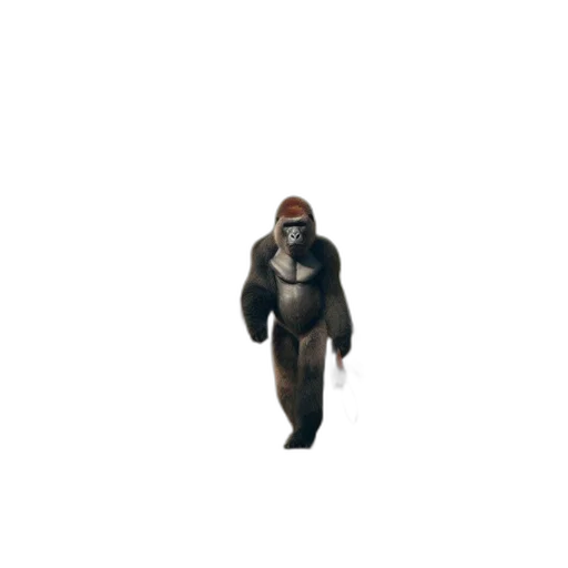 creature, jacket, animal, mask transparent PNG cut-out