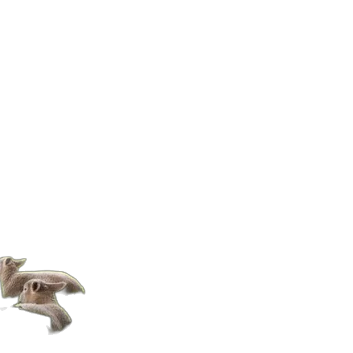shoes, jewelry, furniture, weapon transparent PNG cut-out