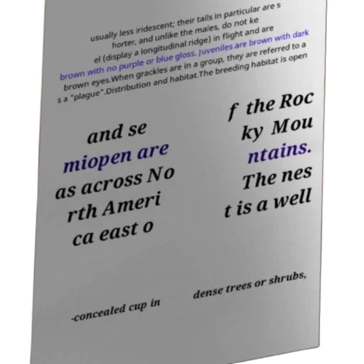 robot, dress, text-based, description transparent PNG cut-out