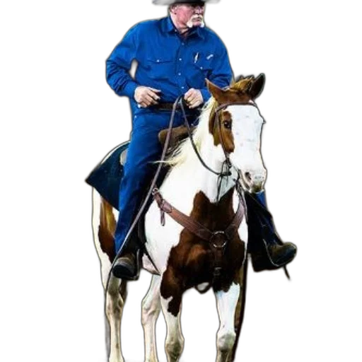 staff, animal, jacket, weapon transparent PNG cut-out