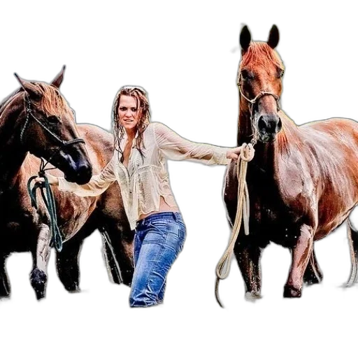 animal, photorealistic, watercolor, oil painting transparent PNG cut-out