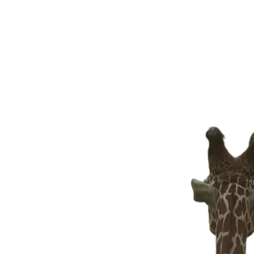 animal, creature, staff, weapon transparent PNG cut-out
