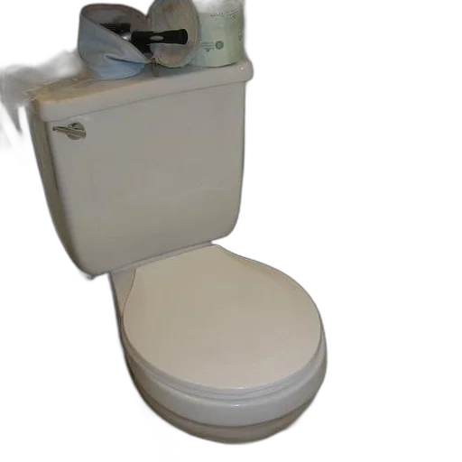 robot, staff, white, toilet transparent PNG cut-out