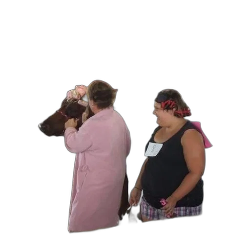 dress, staff, hat, jacket transparent PNG cut-out