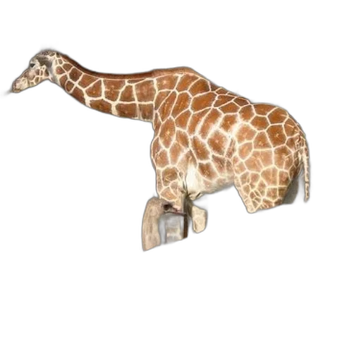 animal, jewelry, weapon, staff transparent PNG cut-out