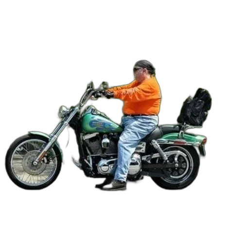 jacket, animal, weapon, photorealistic transparent PNG cut-out