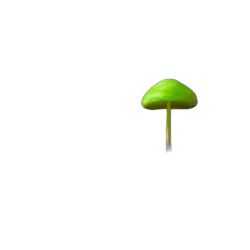 tree, umbrella, hat, staff transparent PNG cut-out