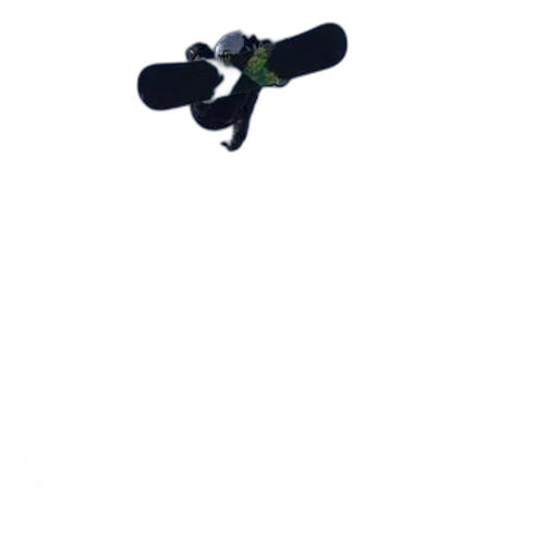 staff, weapon, flower, shoes transparent PNG cut-out