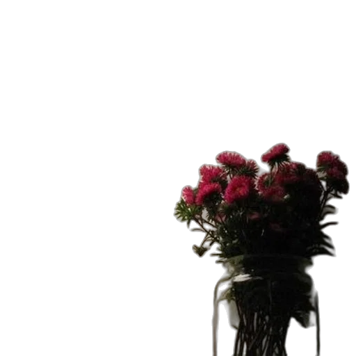 flower, crown, furniture, robot transparent PNG cut-out