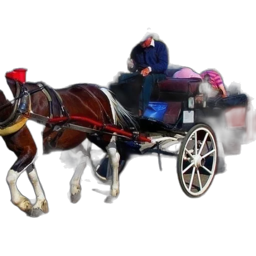 car, staff, animal, photorealistic transparent PNG cut-out