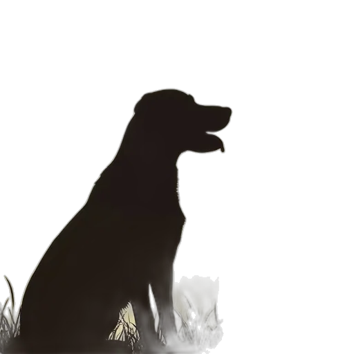 animal, staff, creature, dragon transparent PNG cut-out