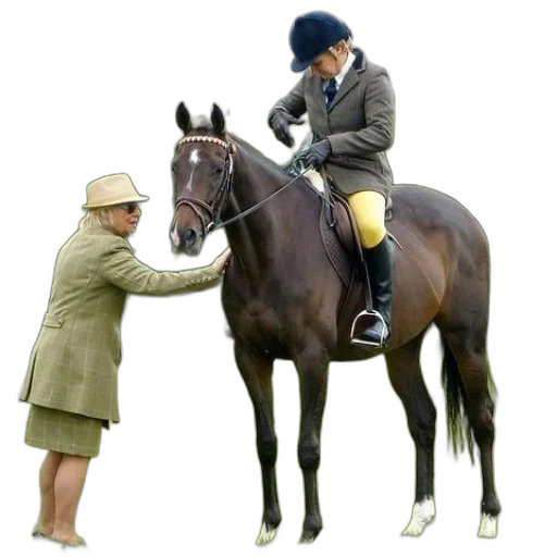 animal, jacket, staff, hat transparent PNG cut-out