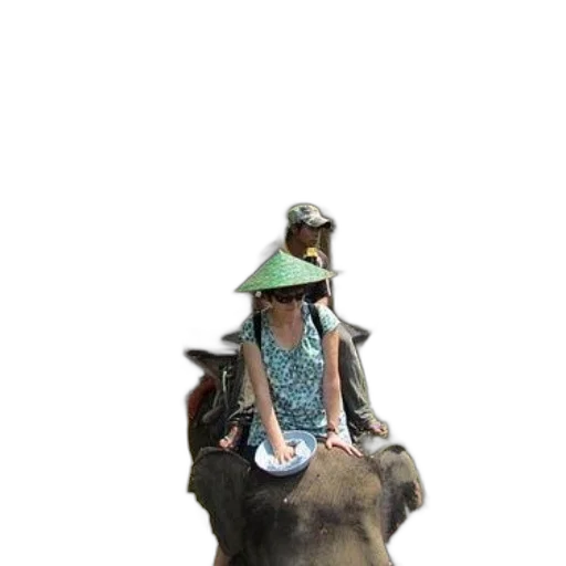 animal, hat, creature, staff transparent PNG cut-out