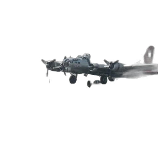 weapon, animal, dragon, creature transparent PNG cut-out