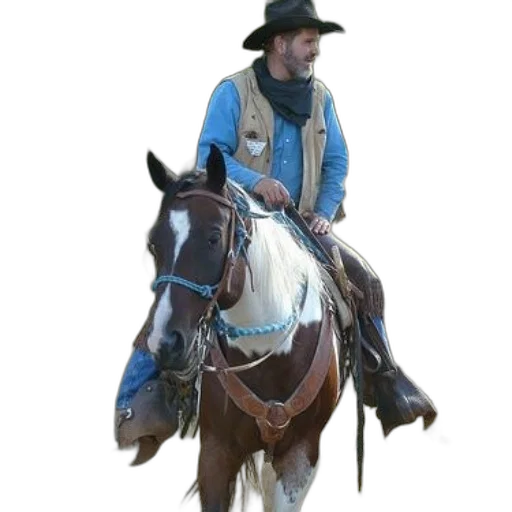 hat, staff, animal, jacket transparent PNG cut-out