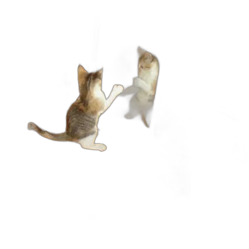 animal, staff, creature, food transparent PNG cut-out
