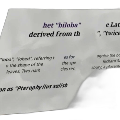 umbrella, text-based, image, discussing transparent PNG cut-out