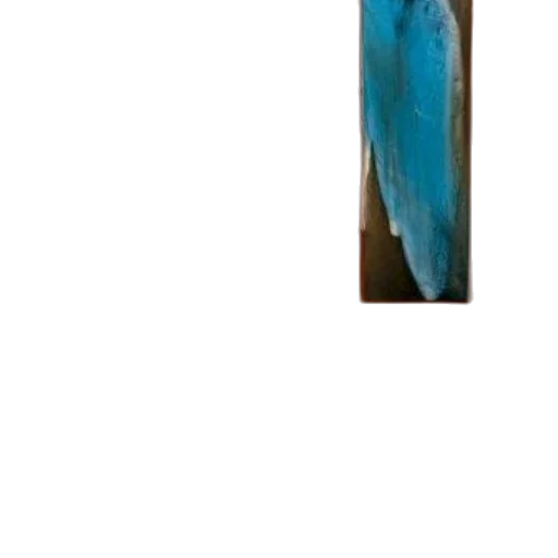 staff, sword, weapon, animal transparent PNG cut-out