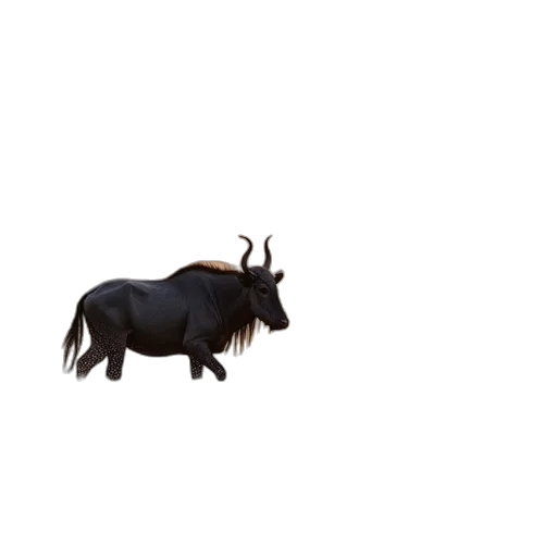 animal, creature, hair, dragon transparent PNG cut-out