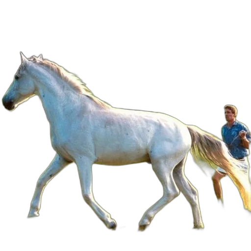 animal, creature, dragon, weapon transparent PNG cut-out